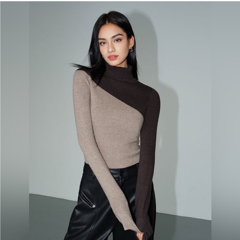 Two-Tone Turtleneck Sweater